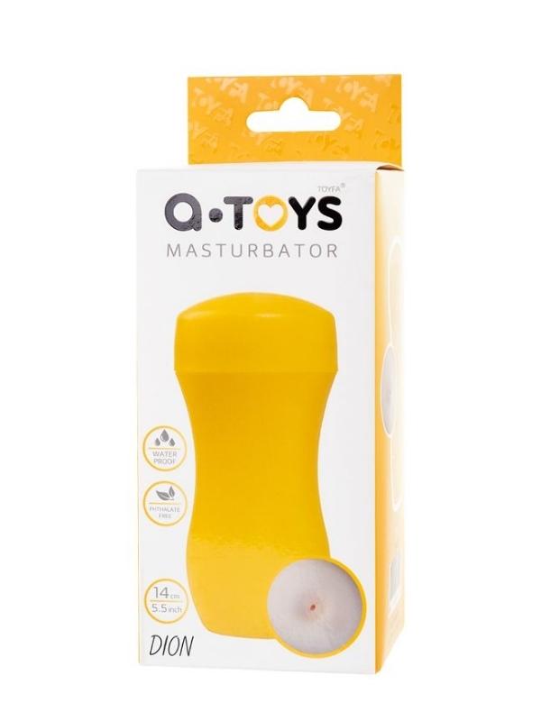 Dion Masturbator Anal